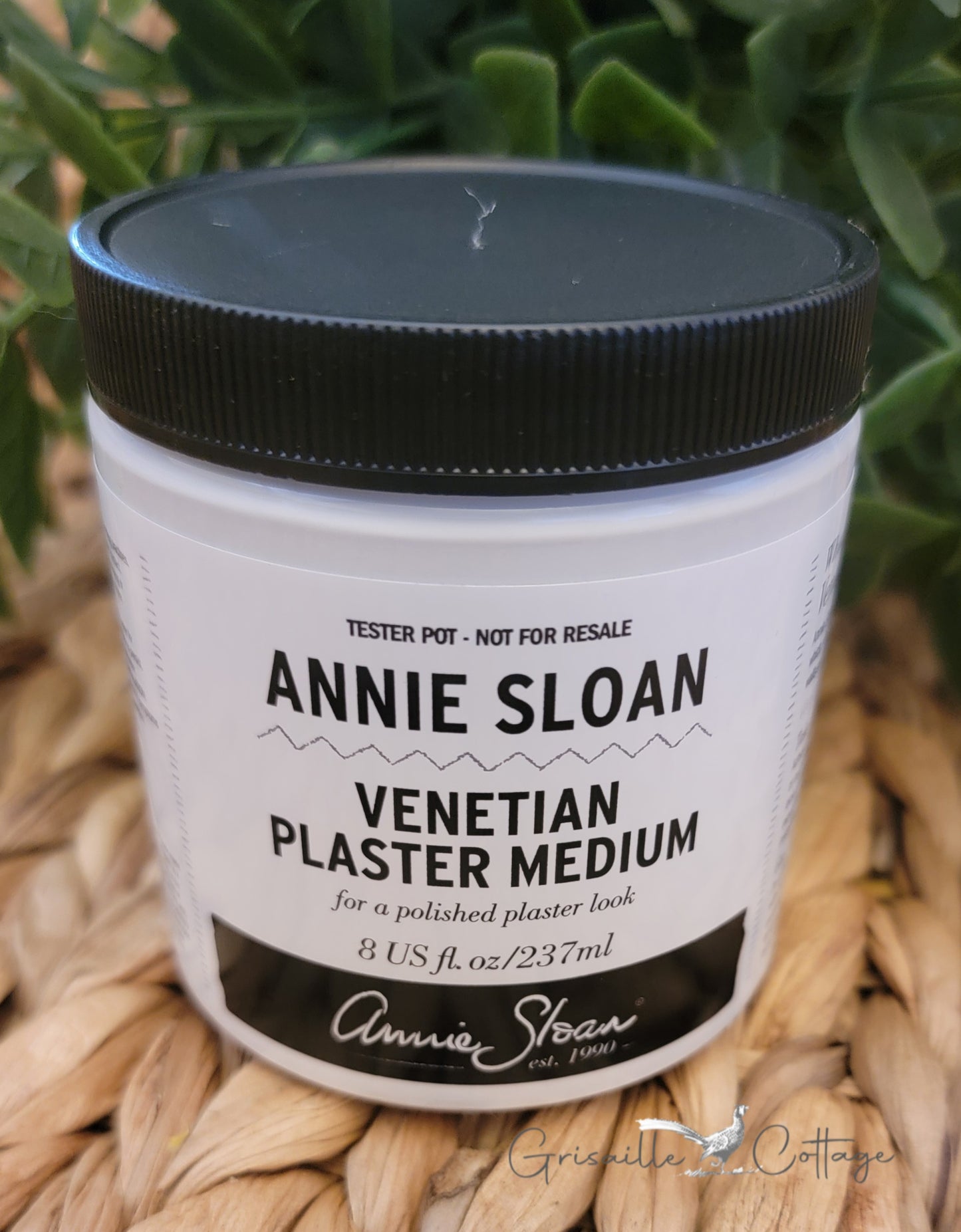 Venetian Polished Plaster 8oz SAMPLE - Annie Sloan