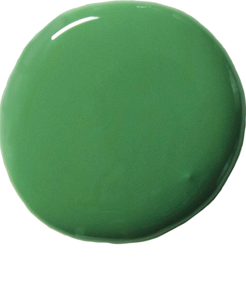 Schinkel Green - Wall Paint by Annie Sloan