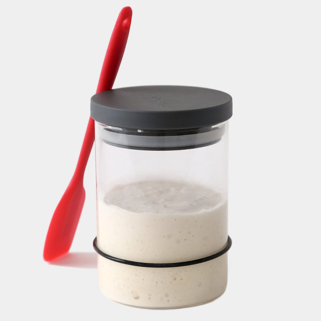 Sourdough Starter Kit