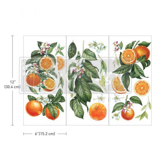 Citrus Slice 6inx12in (3-Sheets) - Redesign Decor Transfer®