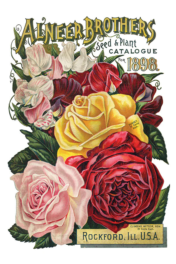 Seed Catalogue - 8 Sheets, 8x12 Pad IOD Decor Transfer™