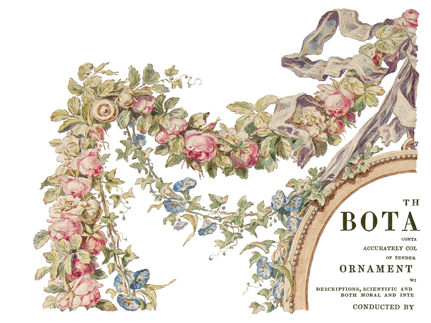 The Botanist -  4 Sheets, 12x16 Pad IOD Decor Transfer