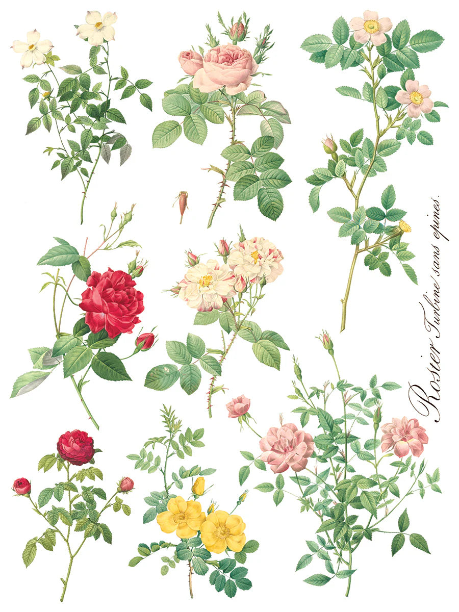 Rose Botanicals 8-Sheets, 12x16 Pad - IOD Decor Transfer™