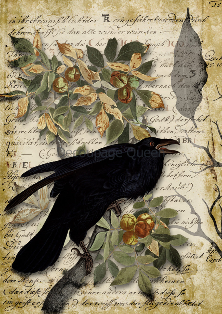 Raven Grimoire - A4 8.3 x 11.7 Rice Paper by Decoupage Queen