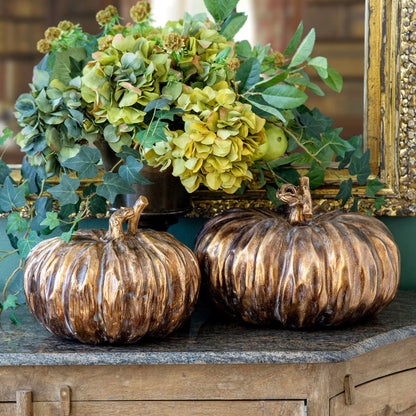 Bronzed Style Heirloom Pumpkin - Small