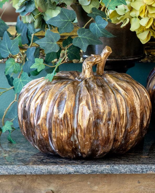 Bronzed Style Heirloom Pumpkin - Small
