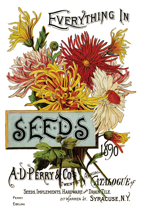 Seed Catalogue - 8 Sheets, 8x12 Pad IOD Decor Transfer™