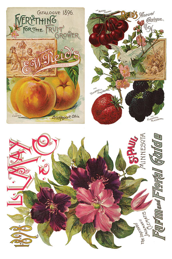 Seed Catalogue - 8 Sheets, 8x12 Pad IOD Decor Transfer™