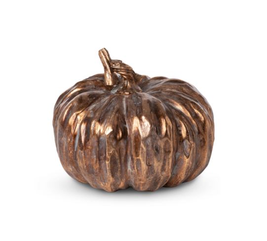 Bronzed Style Heirloom Pumpkin - Small