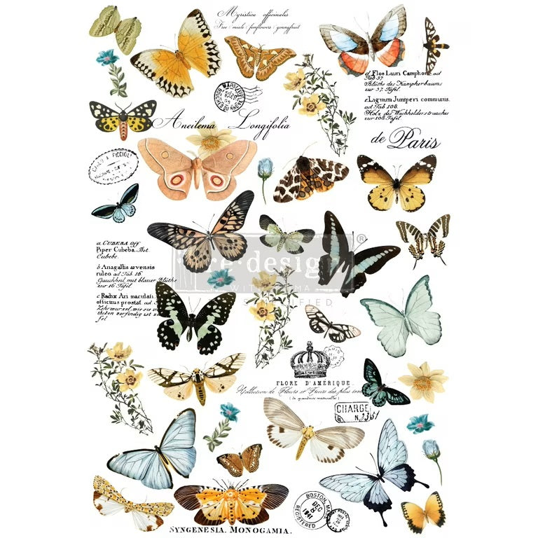 Butterfly Dance 24inx35in (2-Sheets) - Redesign Decor Transfer