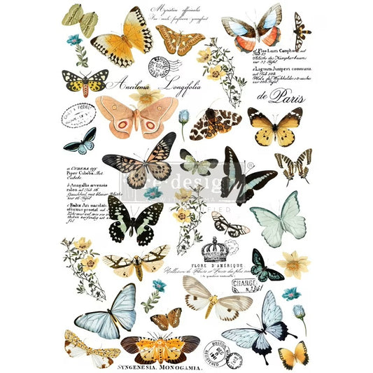 Butterfly Dance 24inx35in (2-Sheets) - Redesign Decor Transfer