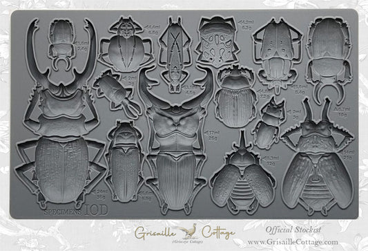 Specimens ~ IOD Decor Mould