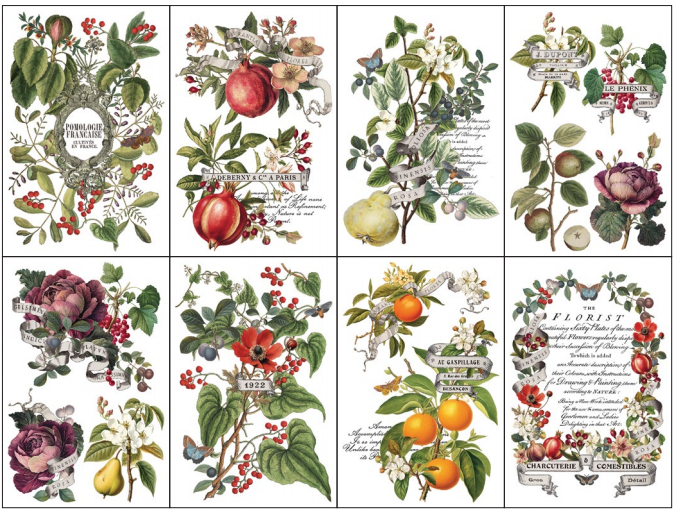 Clementine - 8 Sheet, 8x12 Pad IOD Decor Transfer™