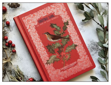 Winter Botanist - 8 Sheet, 8x12 Pad IOD Decor Transfer™