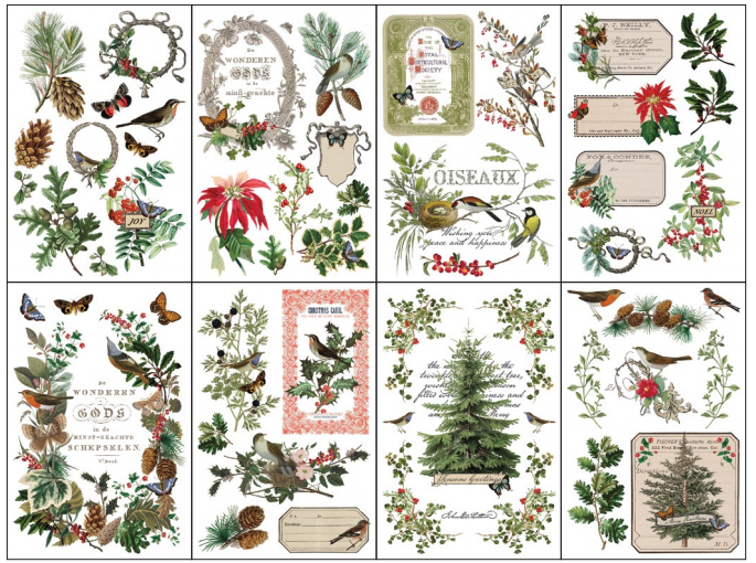 Winter Botanist - 8 Sheet, 8x12 Pad IOD Decor Transfer™