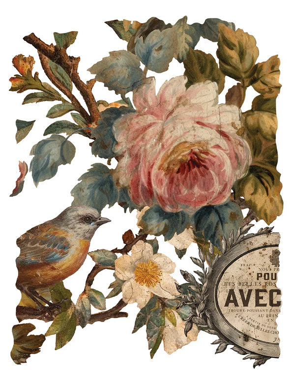 Joie Des Roses - 8 Sheet, 12x16 Pad IOD Decor Transfer™