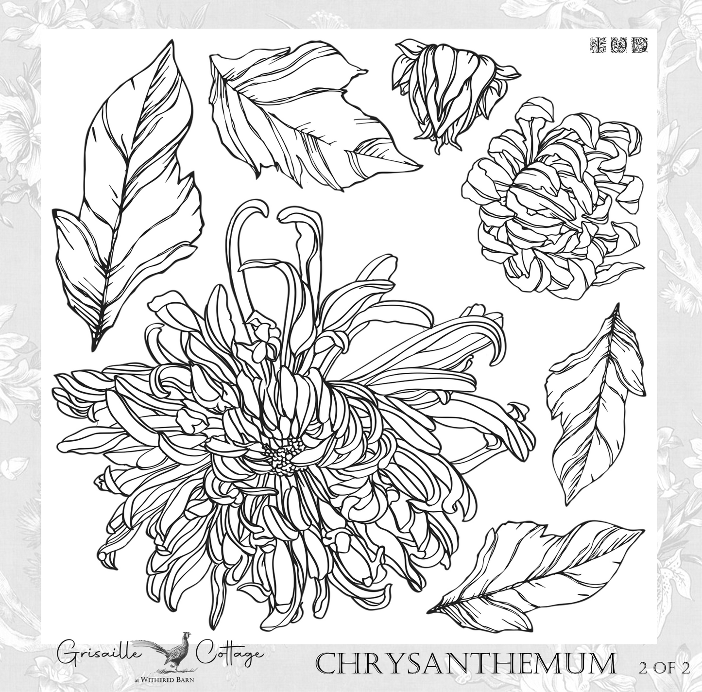 Chrysanthemums 2-Sheet Set - IOD Decor Stamp RETIRED