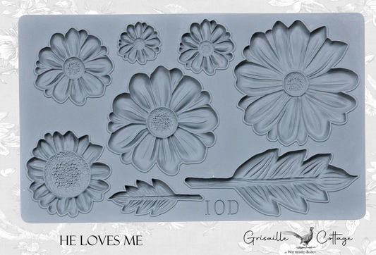 He Loves Me - IOD Decor Mould