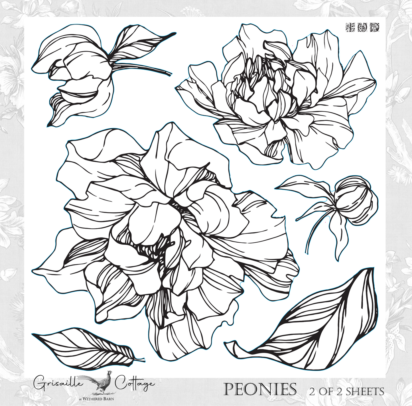 Peonies 2-Sheet Set - IOD Decor Stamp